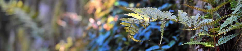 Higher Grounding